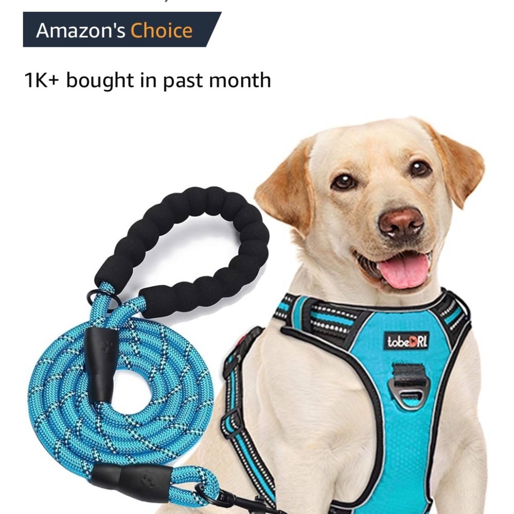 Blue Dog Harness and Leash Set - Picture 1 of 9